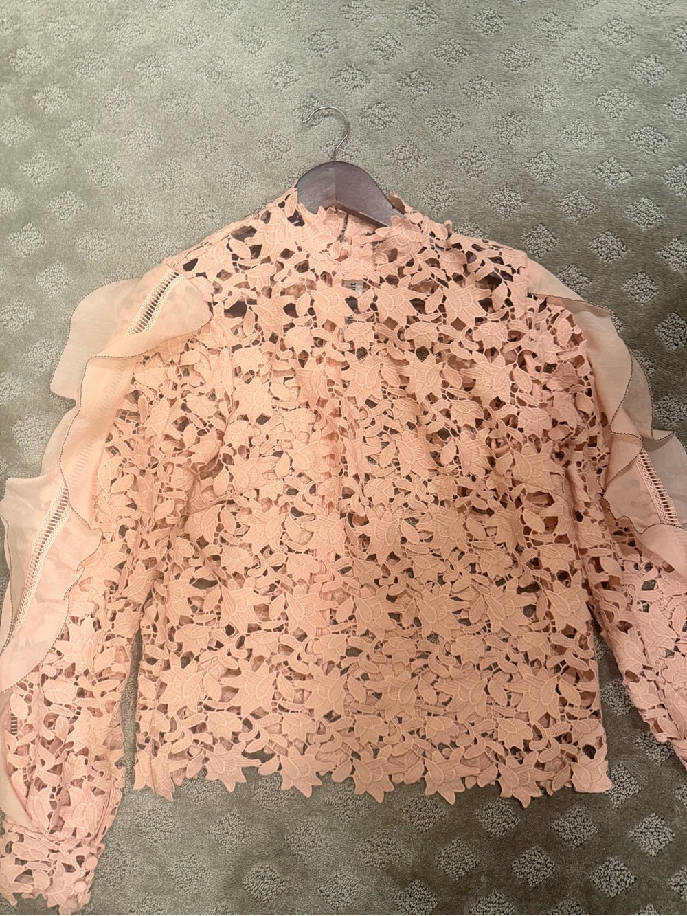 Self Portrait Delicate Blush Lace Ruffle Long-Sleeve Top